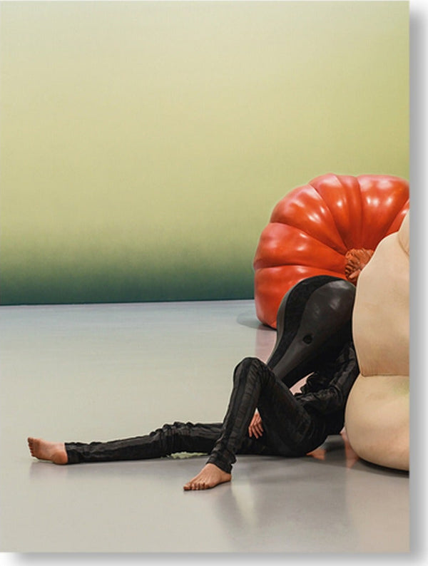 Anthea Hamilton — Mash Up