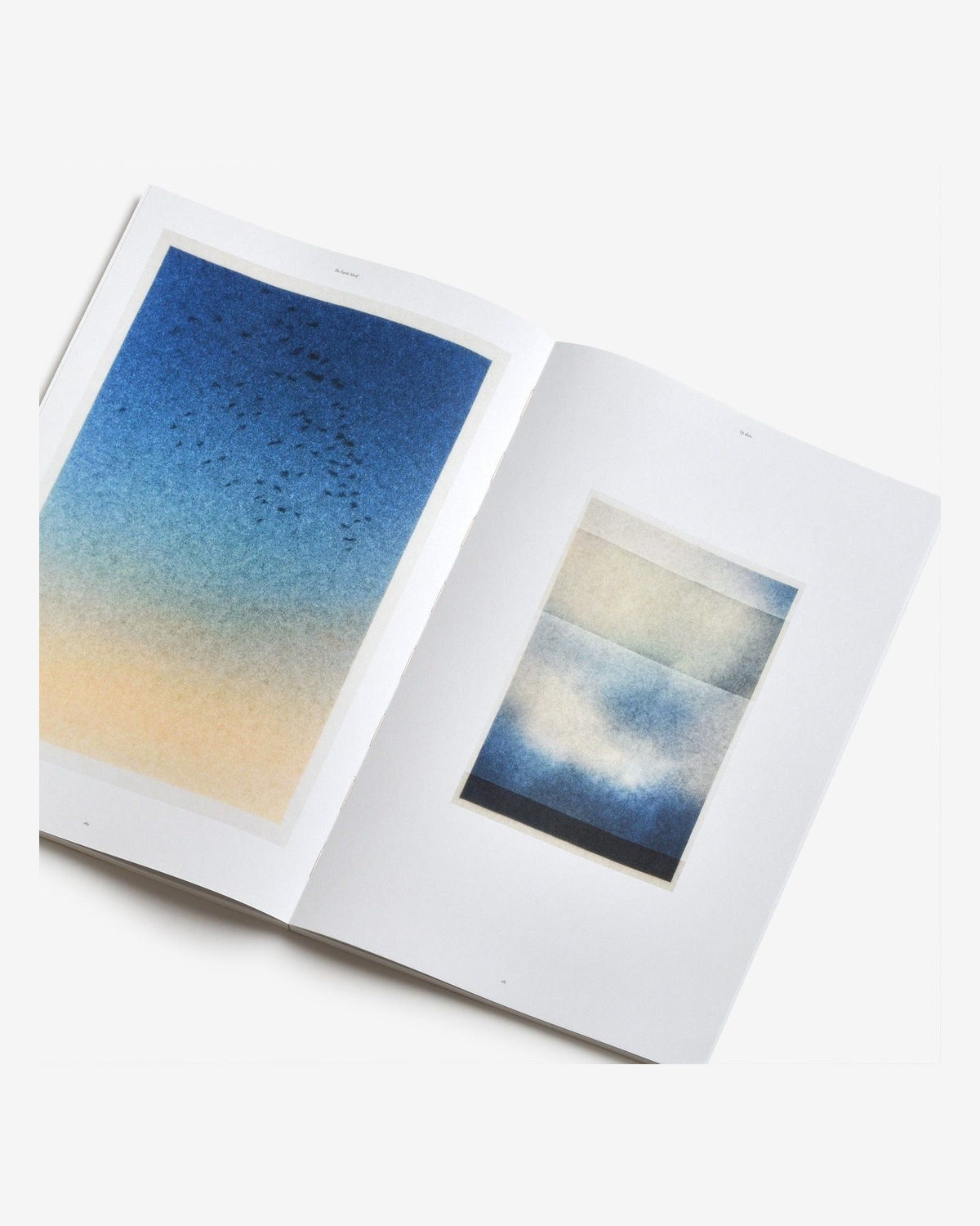 The Motif Magazine — Issue 3: The Earth Motif, inside pages 5