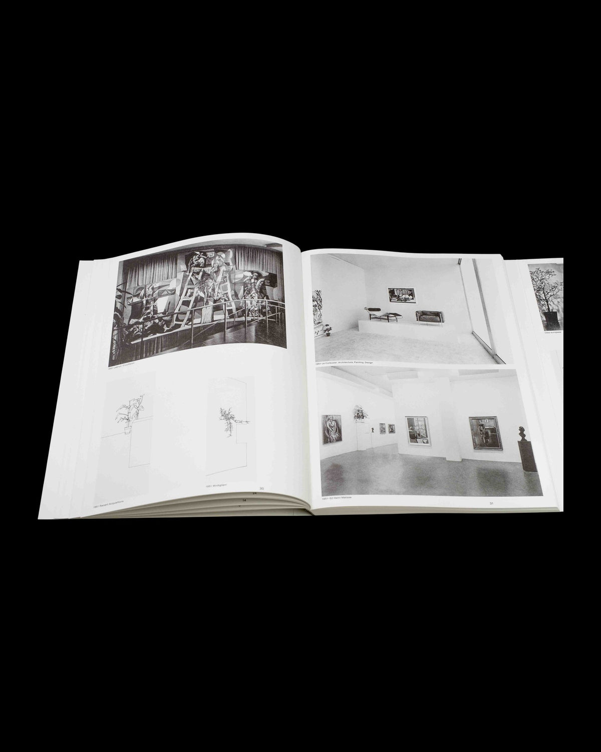 Inge Meijer — The MoMA Plant Collection, inside pages 6