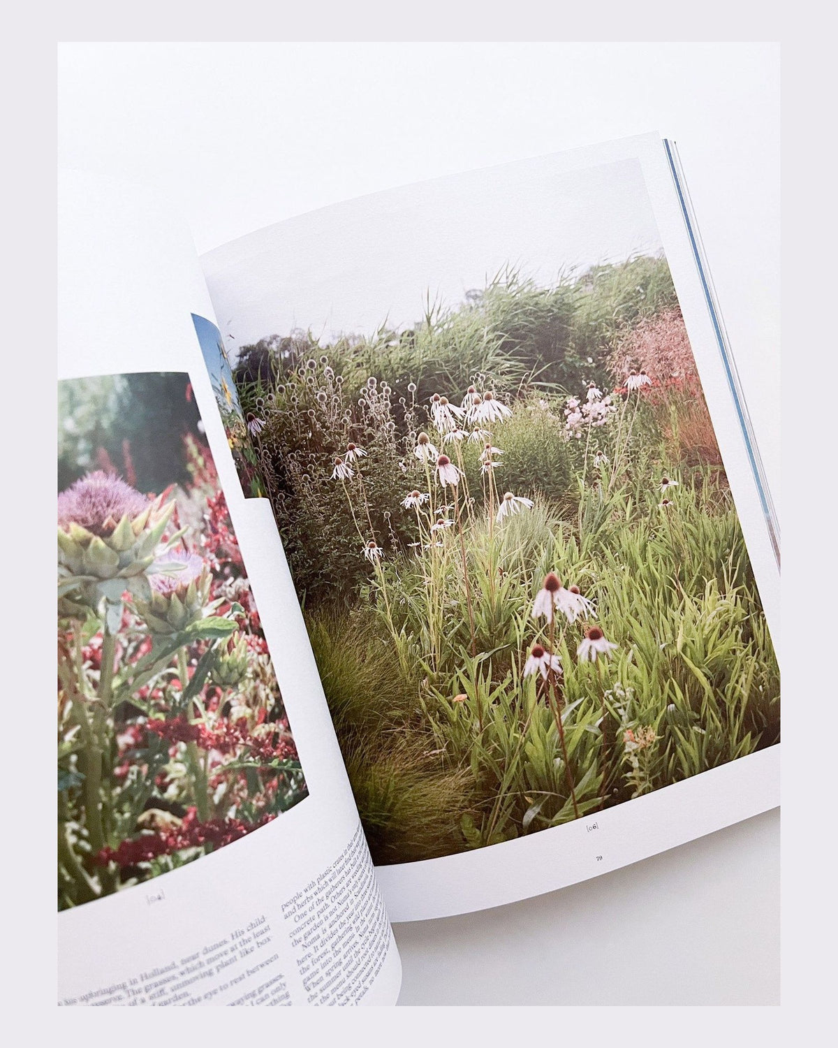 A Magazine Curated By — Issue 29: Cecilie Bahnsen, inside pages 6