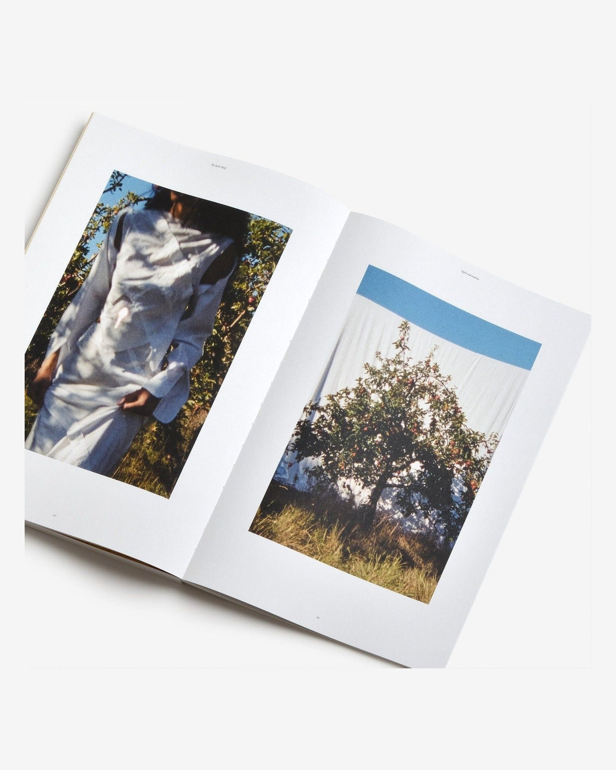 The Motif Magazine — Issue 3: The Earth Motif, inside pages 8