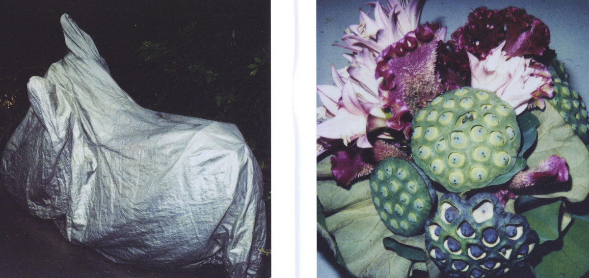 Nobuyoshi Araki - Untitled, inside pages 1