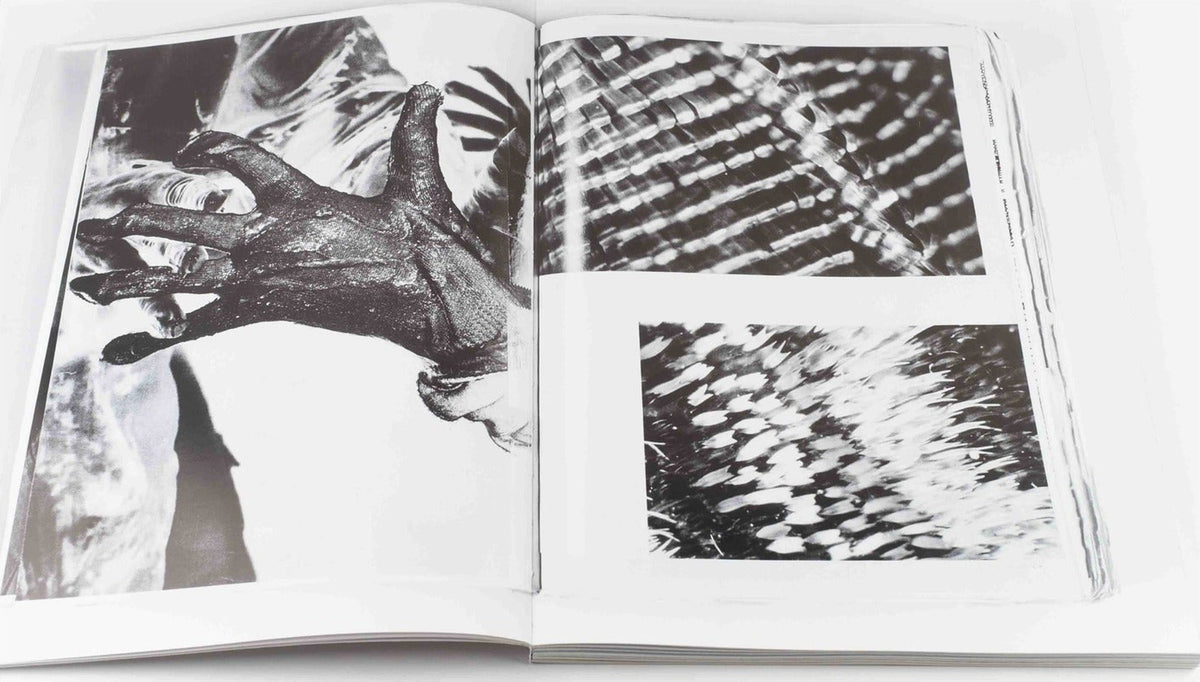 Marie Quéau — Fury, inside pages 3