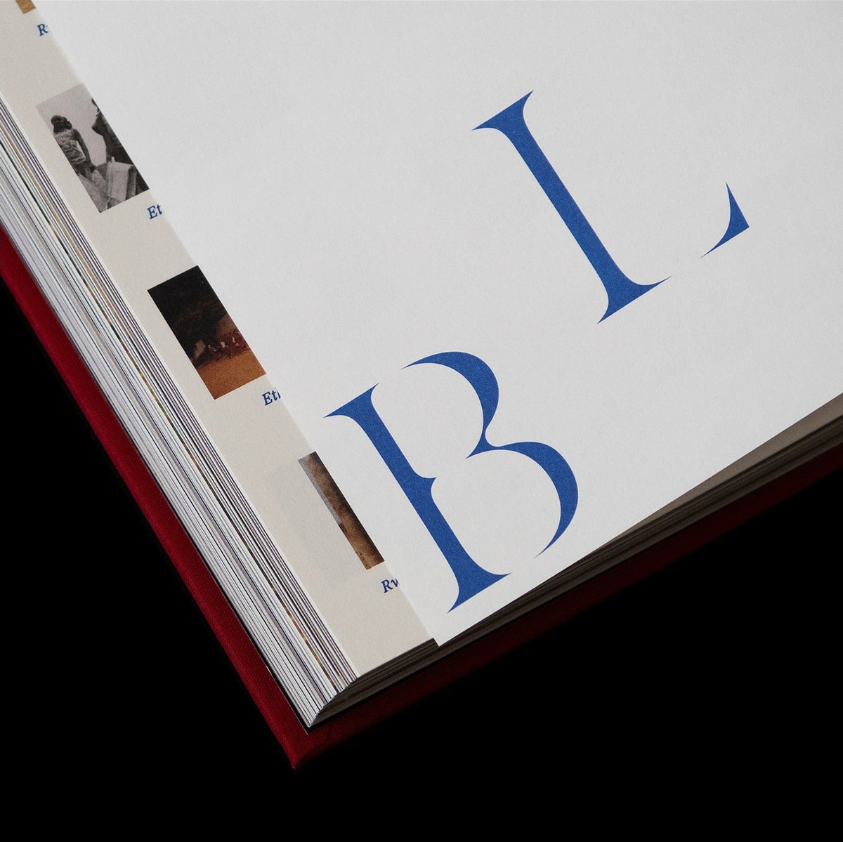 Paw Gissel — Bloom, inside pages 1