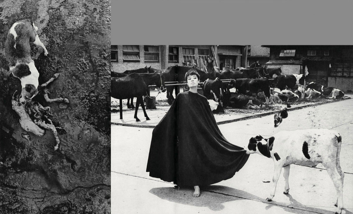 Masahisa Fukase — Homo Ludens, inside pages 2