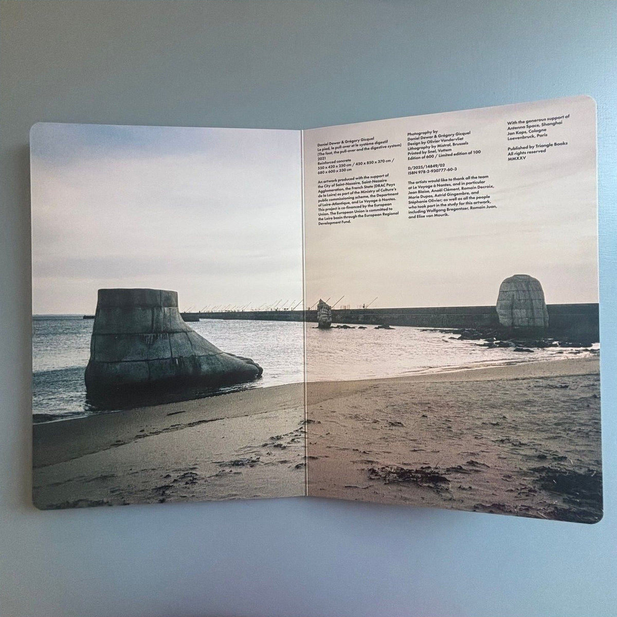 Daniel Dewar & Grégory Gicquel — Le pied, le pull-over et le système digestif, inside pages 5