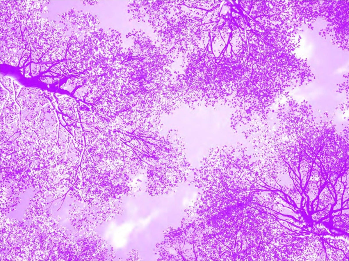 Future Art Ecosystems 2: Art x Metaverse, inside pages 7