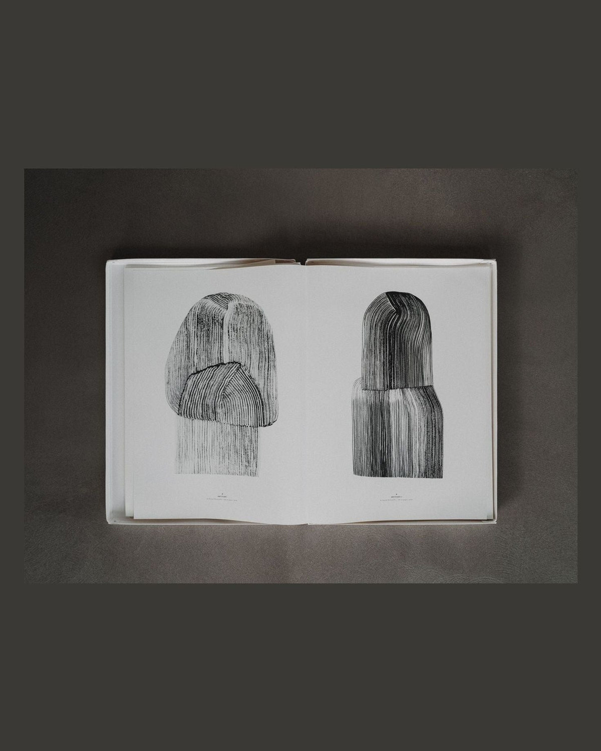 Plethora — Issue 13: Poetics of Emptiness (Portfolio Edition), inside pages 2