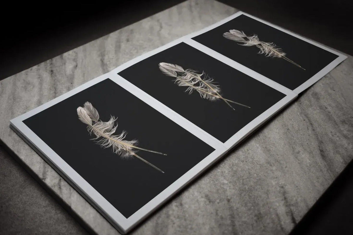 Henrik Capetillo — The Weight of a Feather, inside pages 4