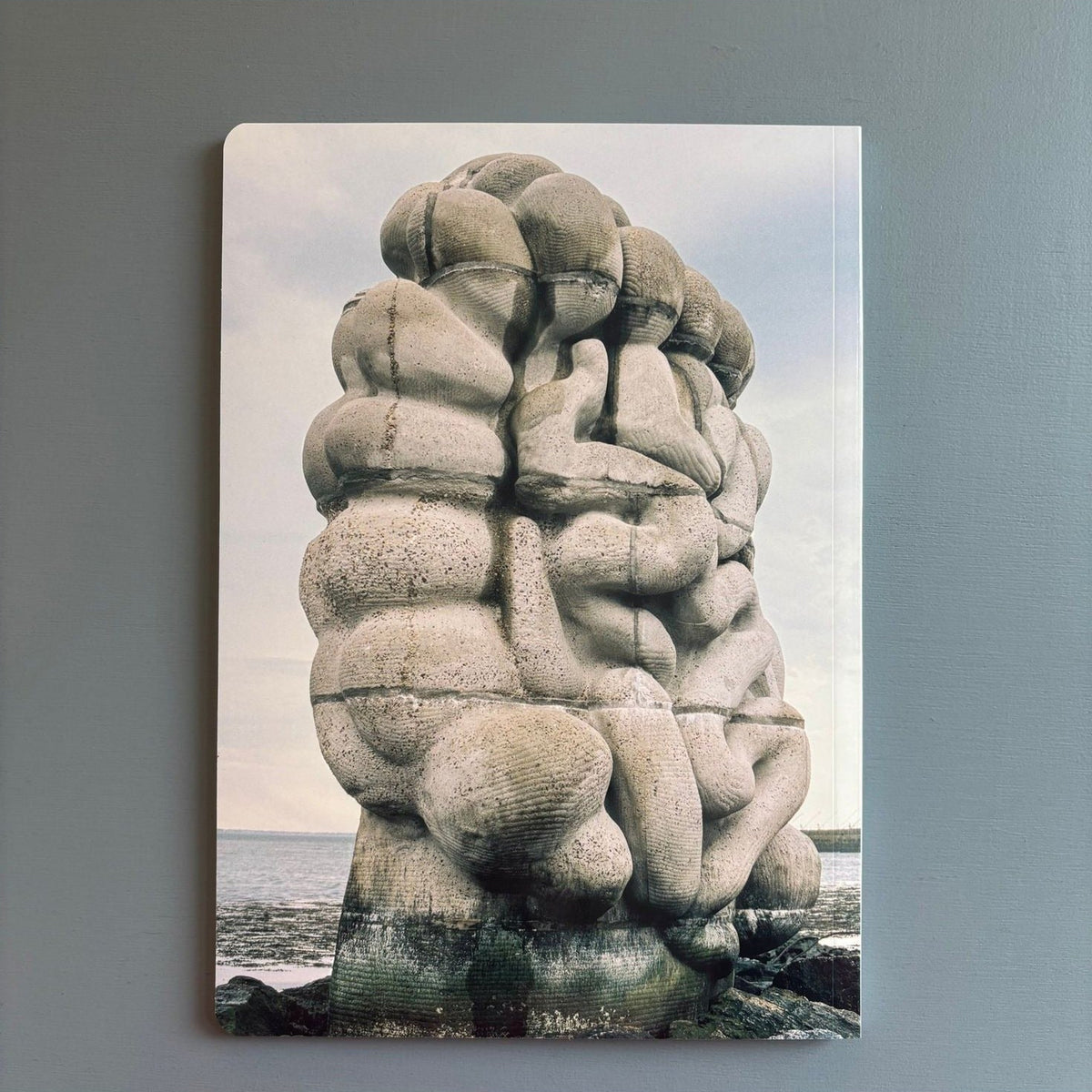 Daniel Dewar & Grégory Gicquel — Le pied, le pull-over et le système digestif, back cover