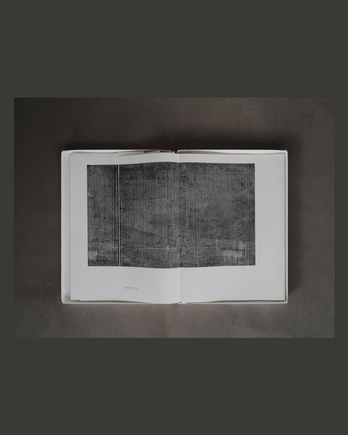 Plethora — Issue 13: Poetics of Emptiness (Portfolio Edition), inside pages 1