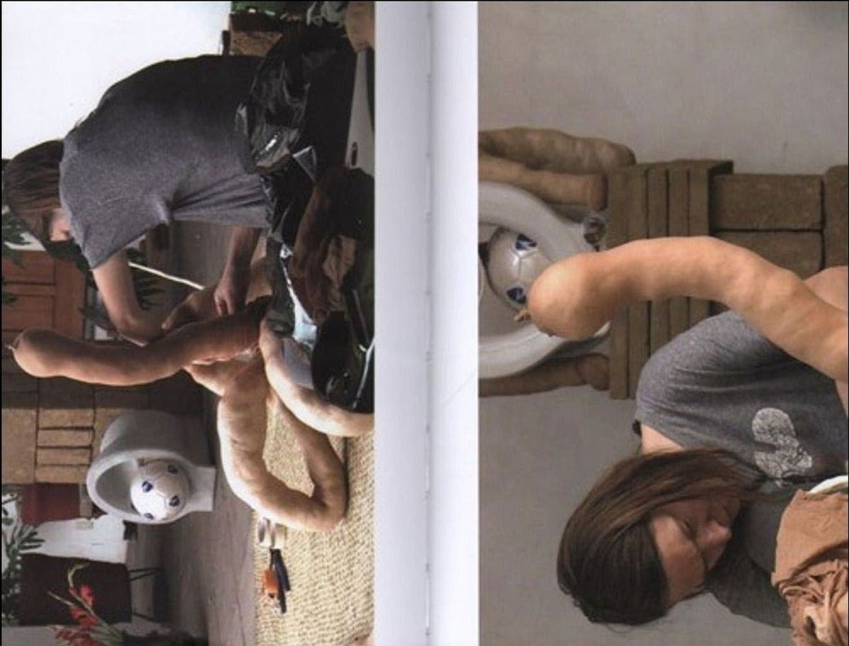 Sarah Lucas — Describe This Distance, inside pages 1
