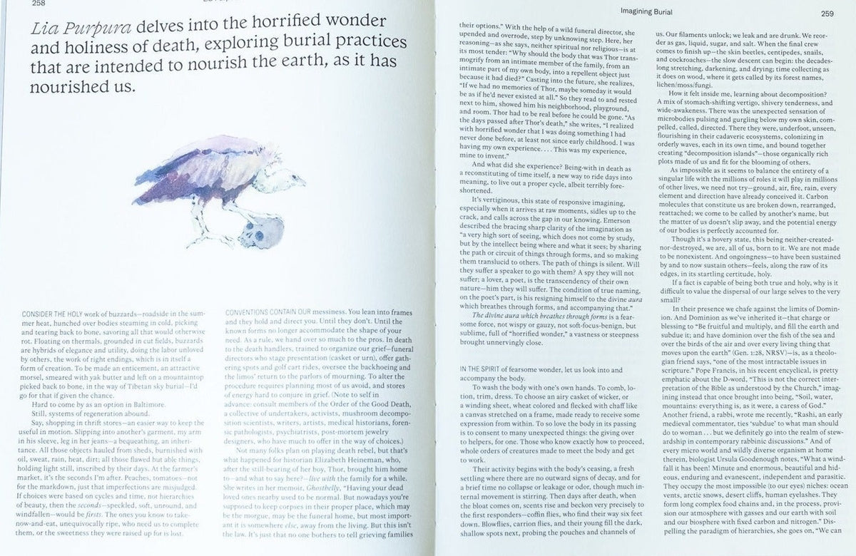 Emergence Magazine, Volume 1, inside pages 5