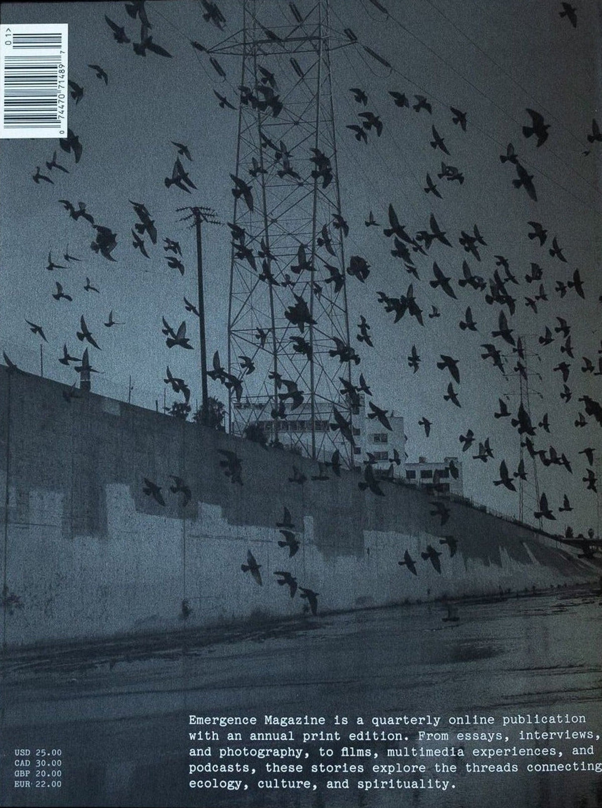 Emergence Magazine, Volume 1, inside pages 14