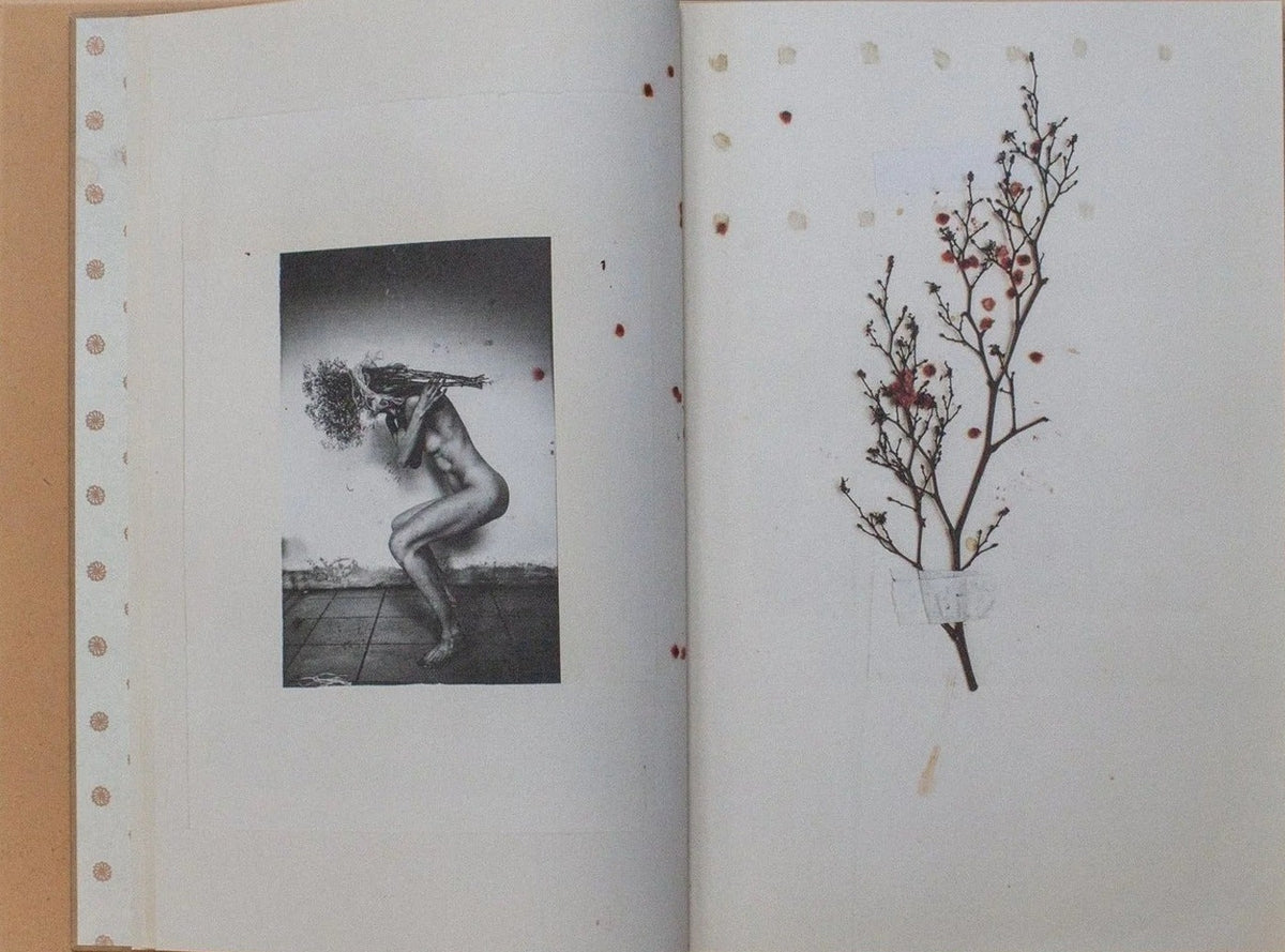 Tilde Bay Kristoffersen, ÆON, inside pages 4