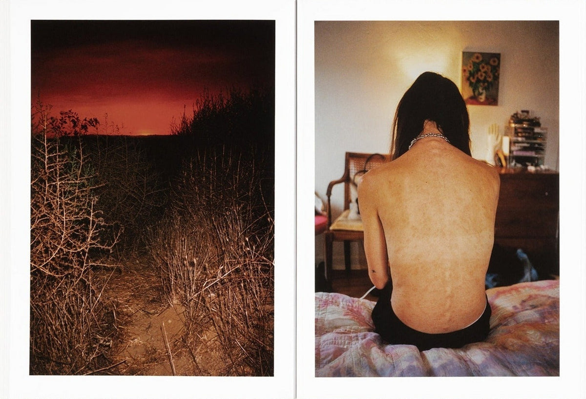 Jerry Hsu, How About Never, inside pages 9