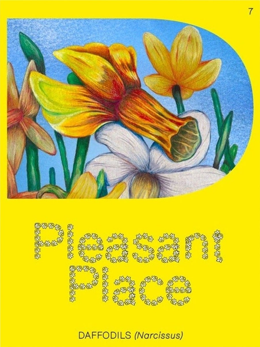 Pleasant Place — Issue 7: Daffodils (Narcissus)