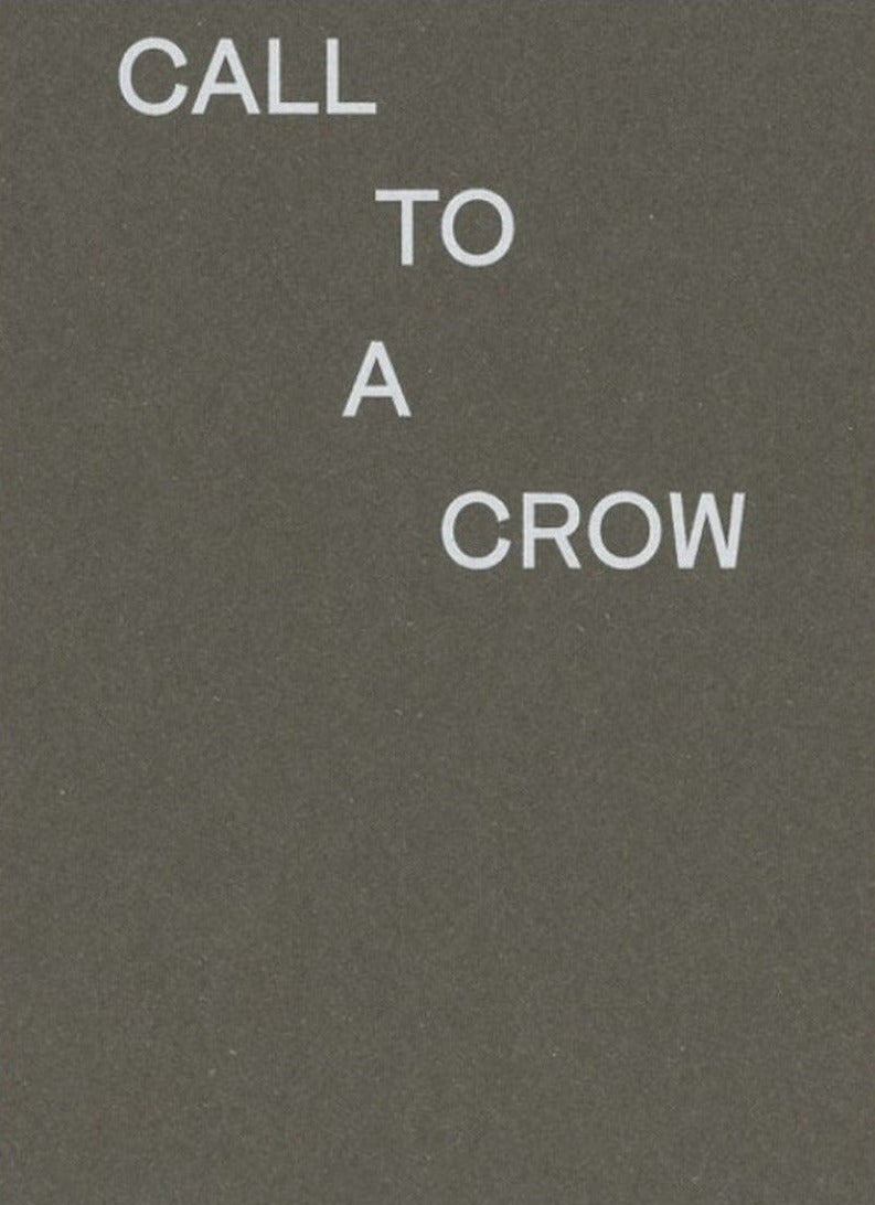 David Horvitz — Call To A Crow