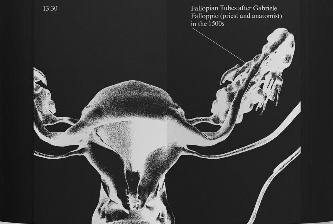 Mindy Seu — A Sexual History of the Internet, inside pages 2