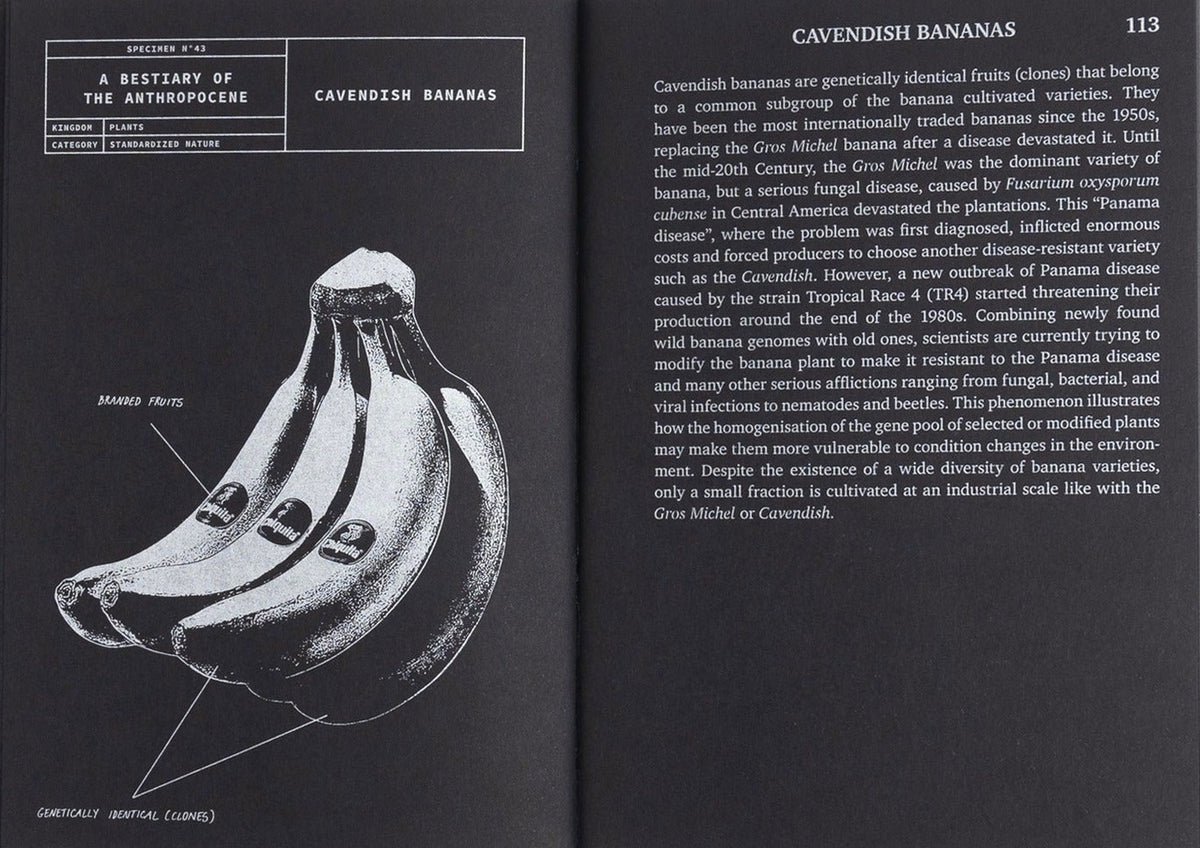 A Bestiary of the Anthropocene: Hybrid plants, animals, minerals, fungi, and other specimens, inside pages 5