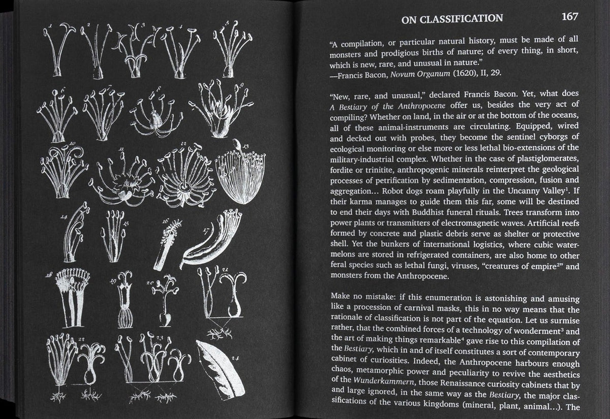 A Bestiary of the Anthropocene: Hybrid plants, animals, minerals, fungi, and other specimens, inside pages 7