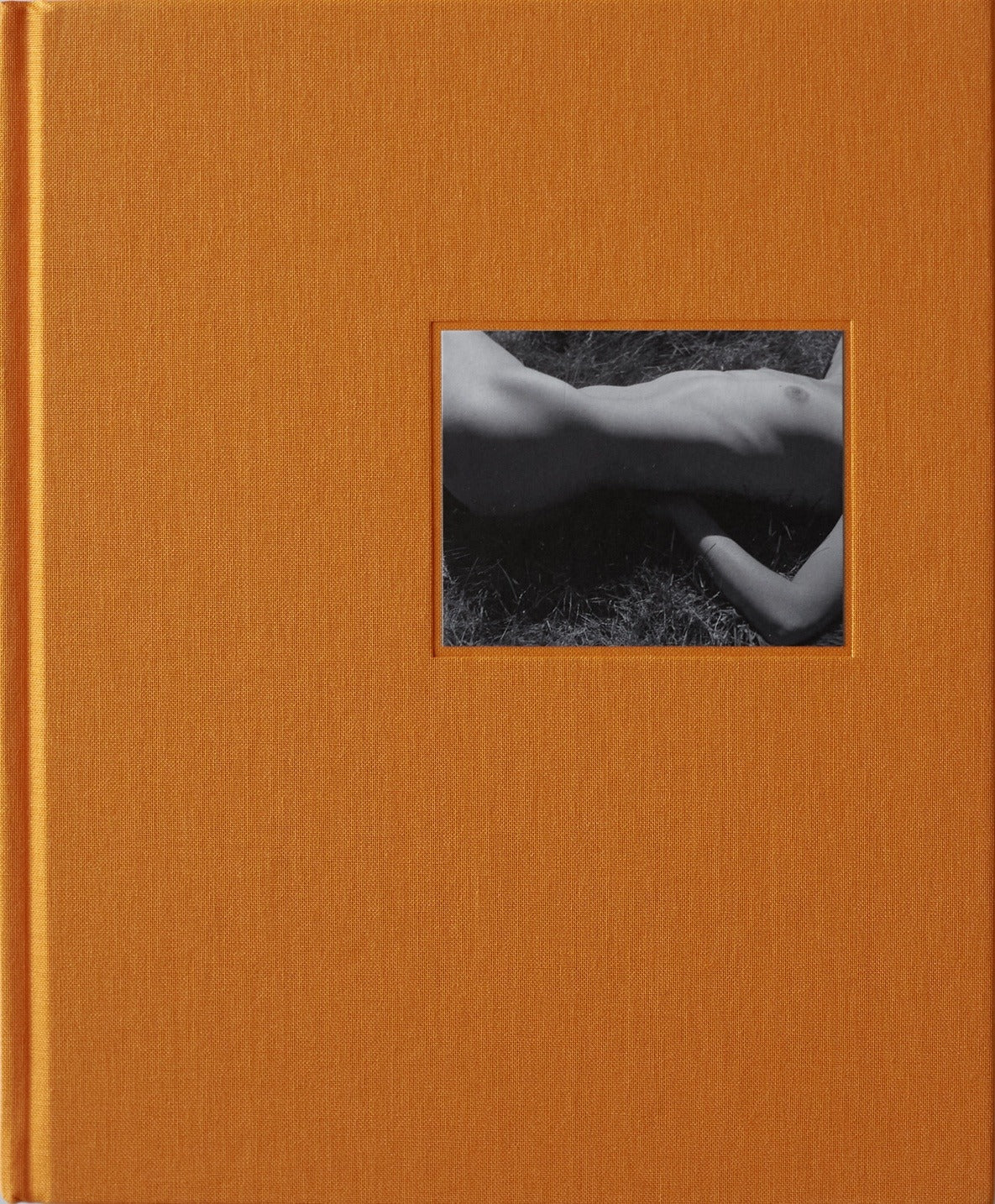 Claudia Vega, A Body of Sun, cover