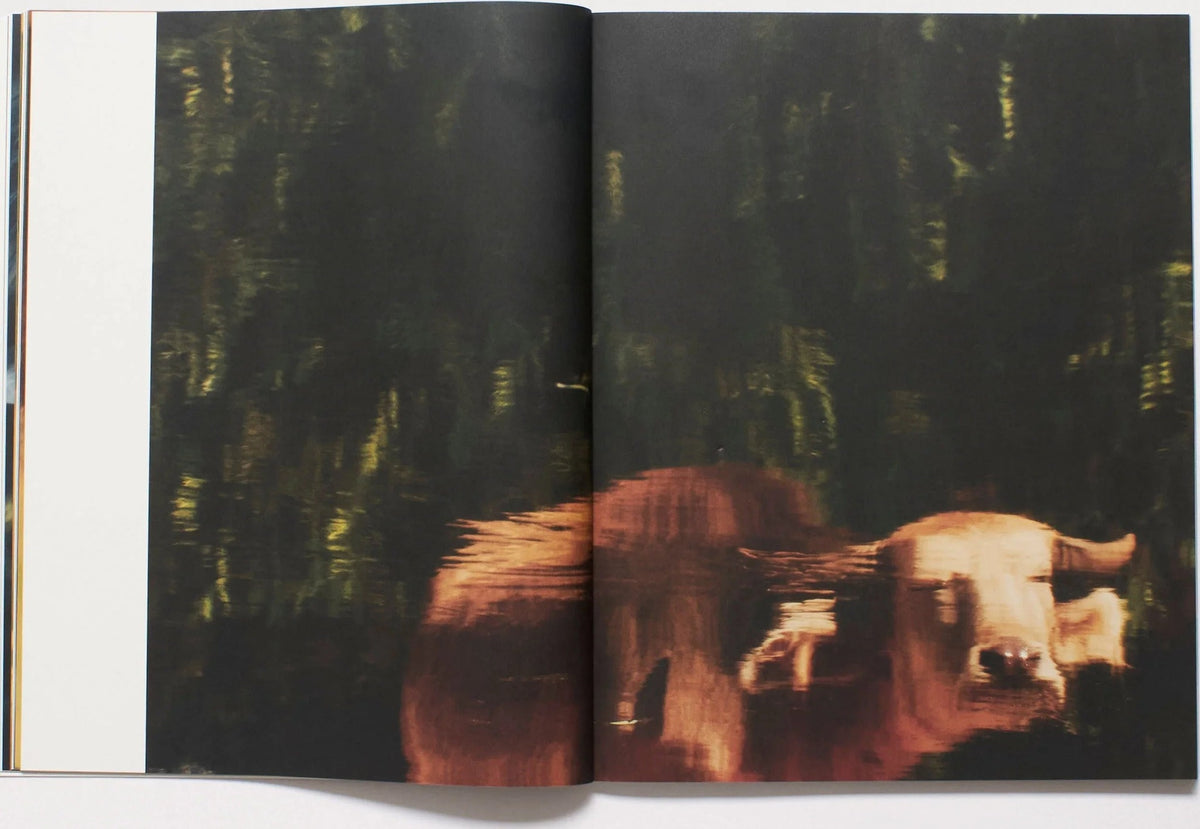 Footnote — Issue 2: The Merchant of Colours, inside pages 3