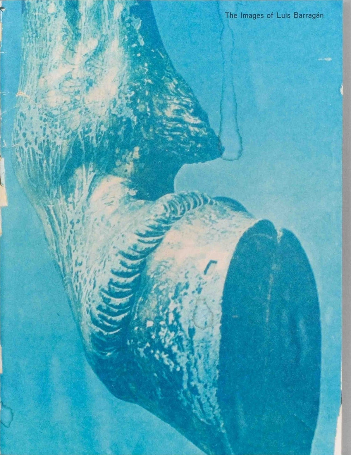 Mark Manders & Roger Willems, The Images of Luis Barragán, cover