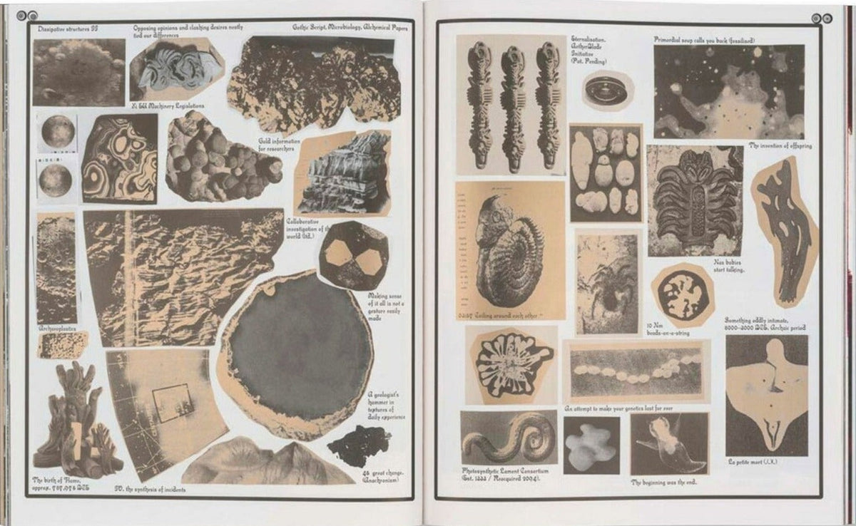 Sharon Van Overmeiren, Jacuzzi of Despair, inside pages 6
