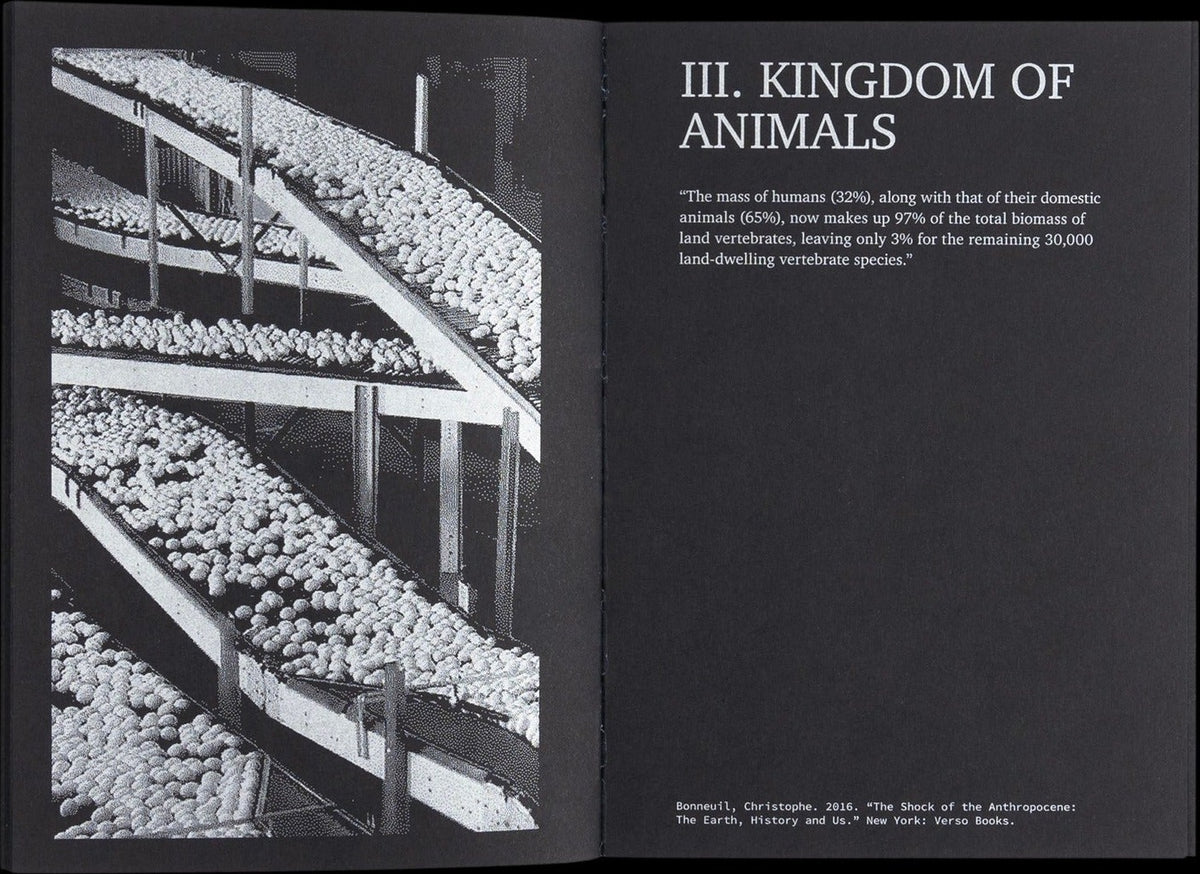 A Bestiary of the Anthropocene: Hybrid plants, animals, minerals, fungi, and other specimens, inside pages 2