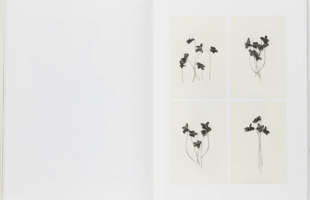 Sachiko Morita, Time in Air, Time in Paper, inside pages 6