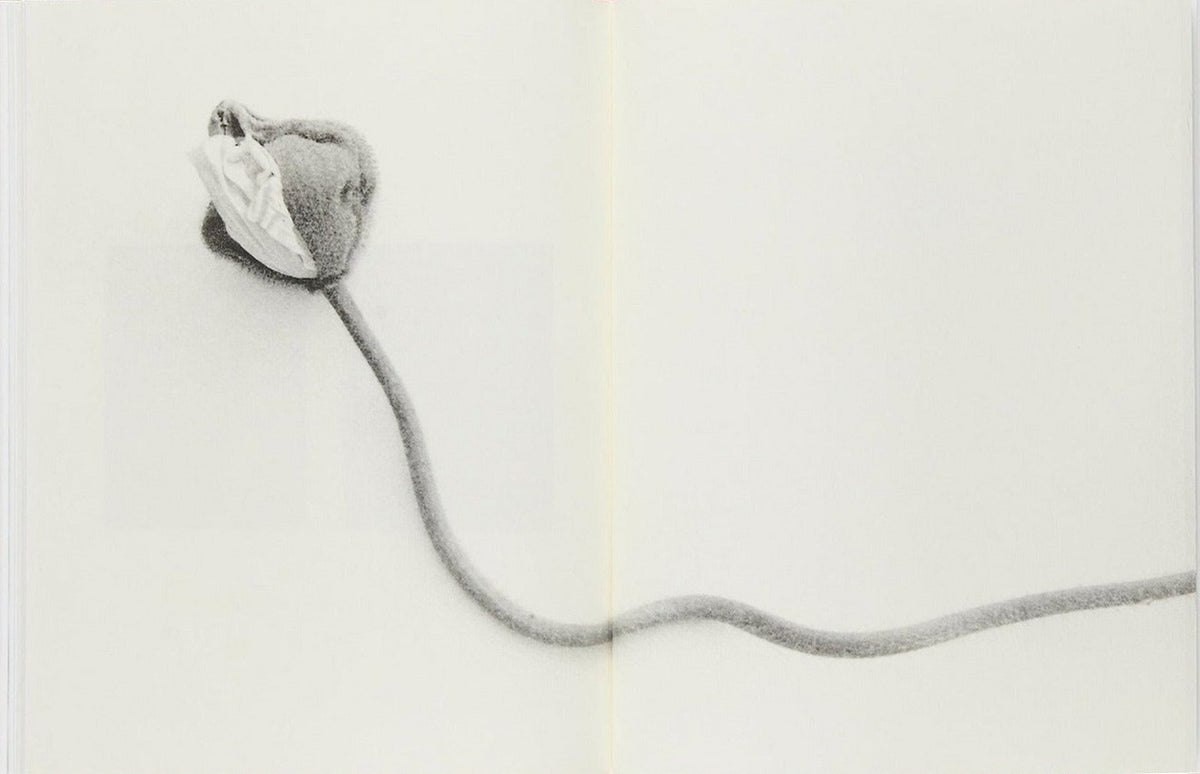 Sachiko Morita, Time in Air, Time in Paper, inside pages 9