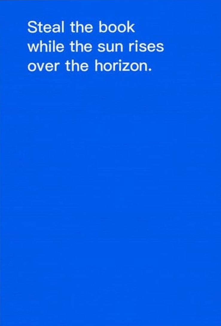 David Horvitz — How to Shoplift Books