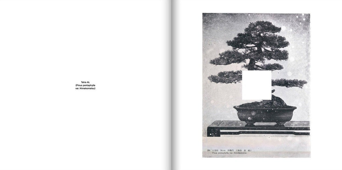 Jan S. Hansen, Tetra AL, inside pages 6