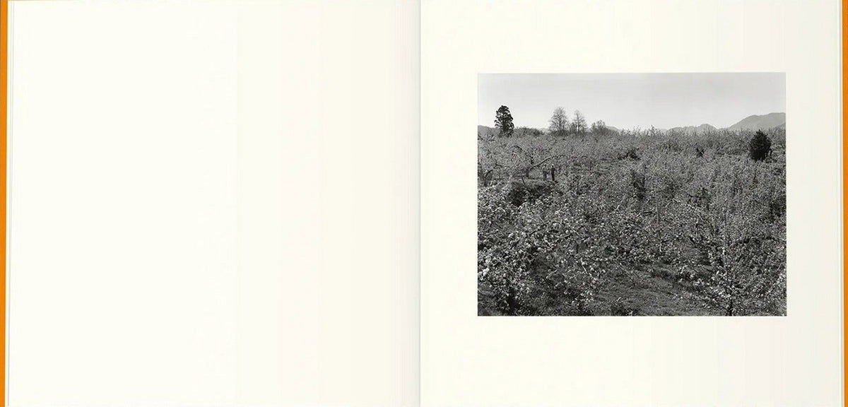 A Long Interview with Kozo Miyoshi, inside pages 12
