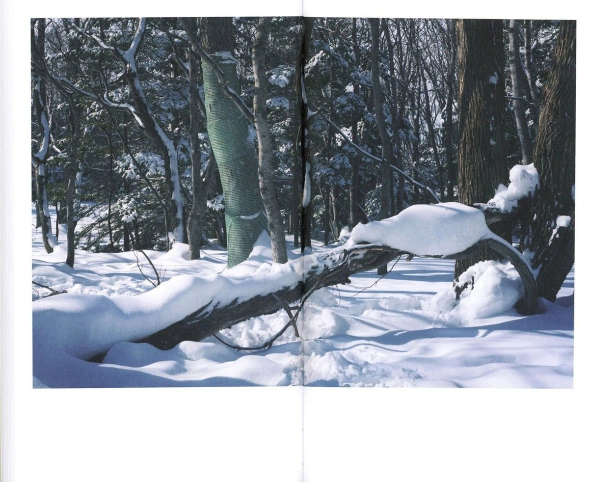 Takashi Homma, BTS, inside pages 10