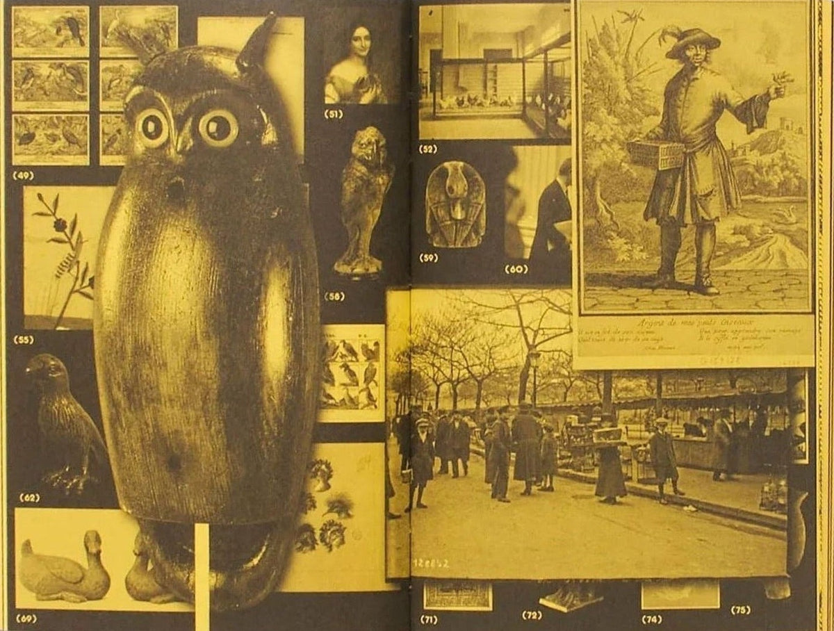 Marjolein van der Loo - With a Bird, A Reader on Avian Kinship, inside pages 7
