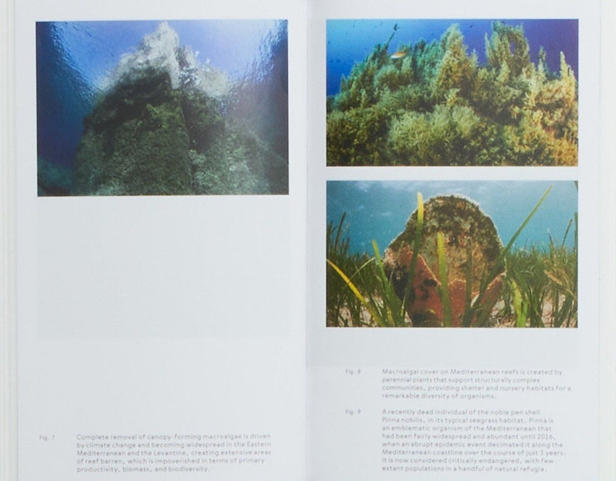 Mediterranean Icebergs: Invisible Connections Underwater, inside pages 4