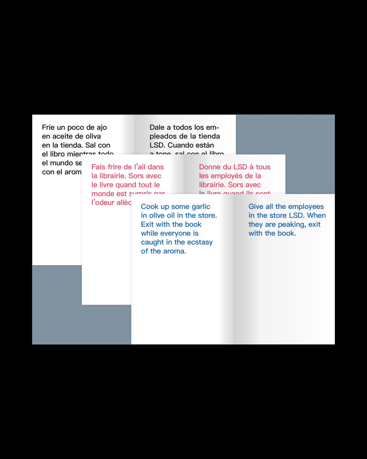 David Horvitz, How to Shoplift Books, inside pages 2