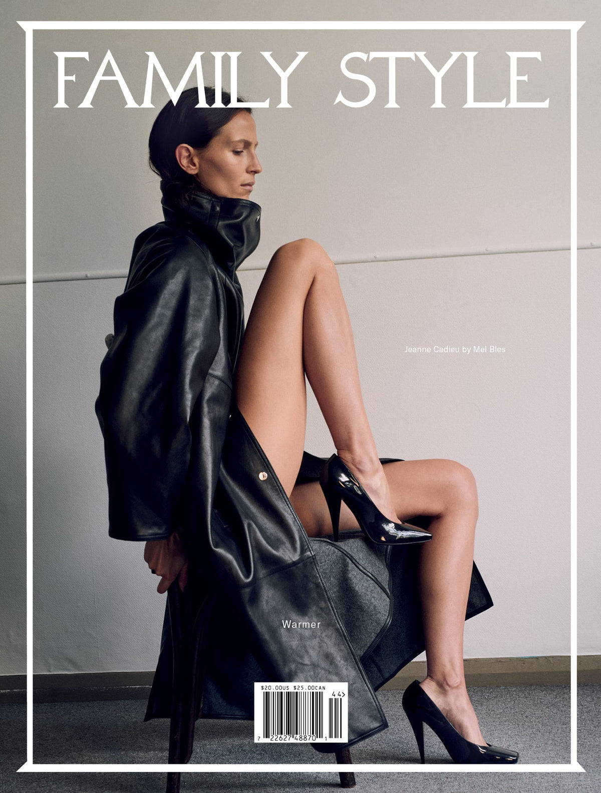 Family Style — Issue 8, alternative cover 2