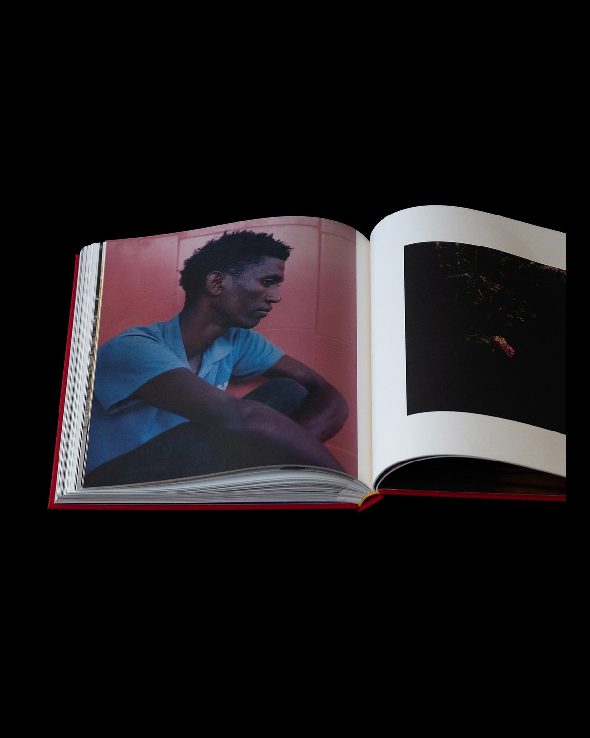 Paw Gissel — Bloom, inside pages 3