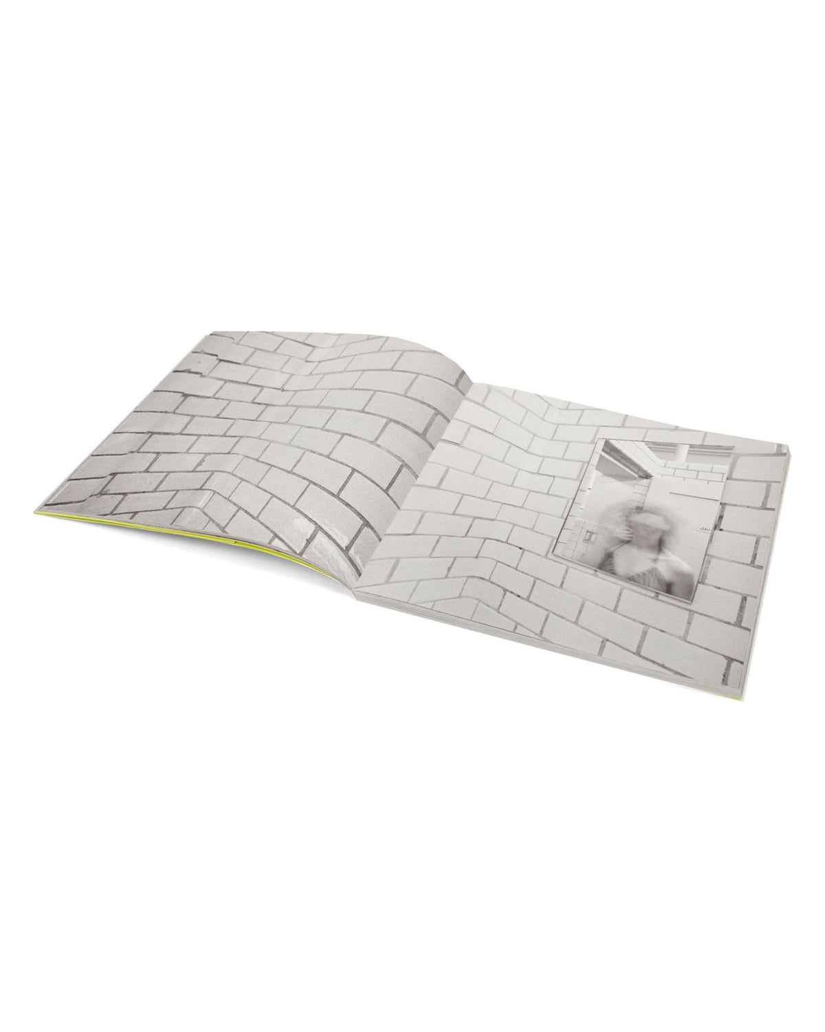 Roni Horn — Her, Her, Her, & Her, inside pages 3
