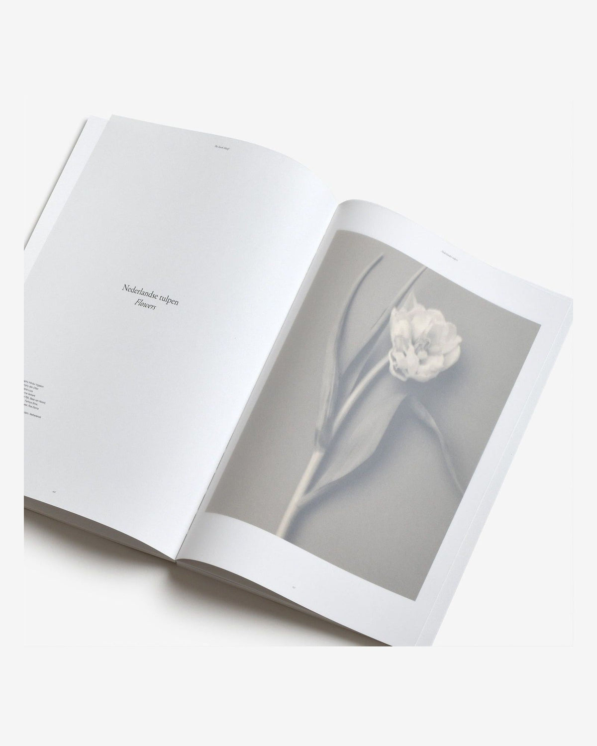 The Motif Magazine — Issue 3: The Earth Motif, inside pages 3