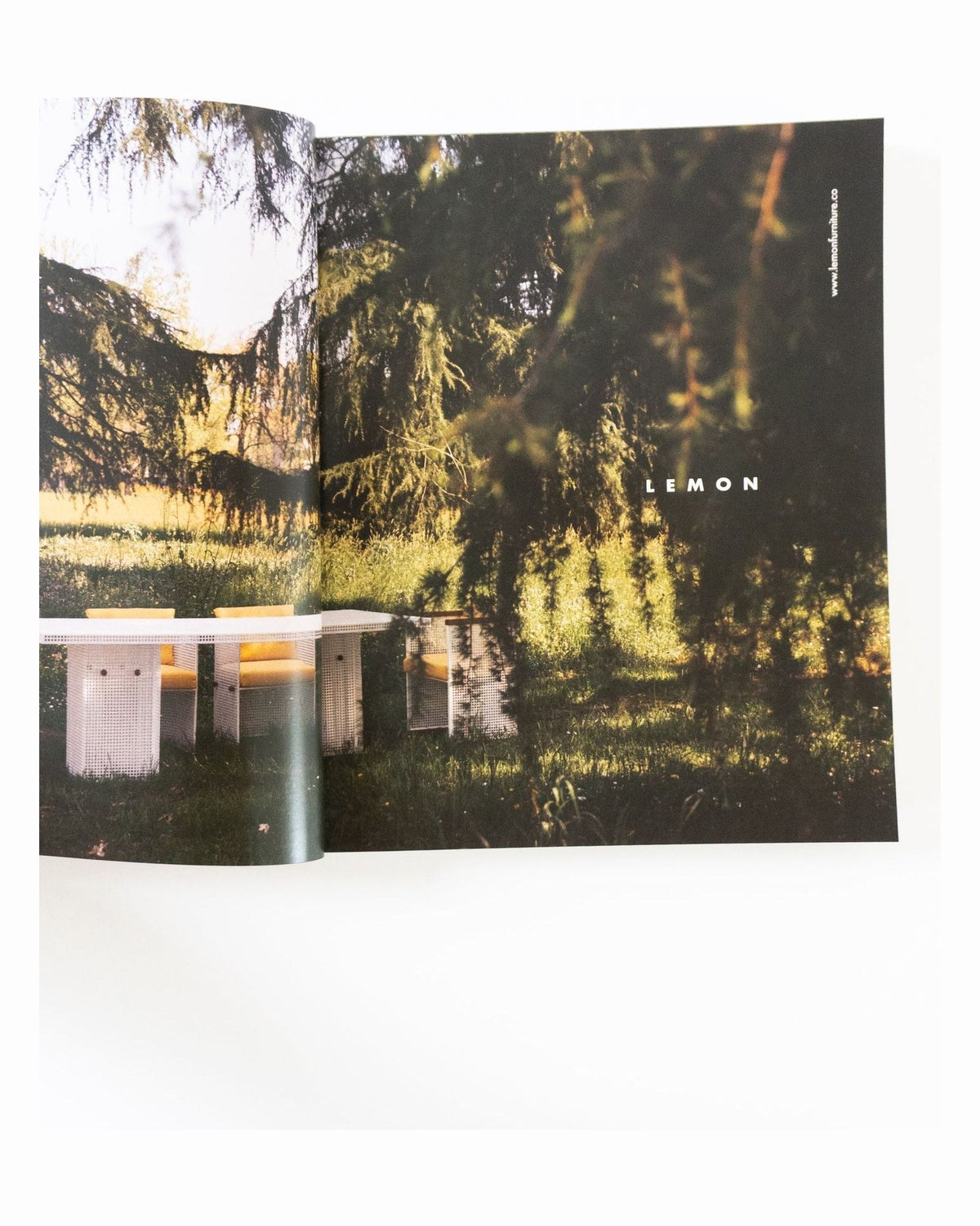 Neptune Papers — Issue 9, inside pages 4