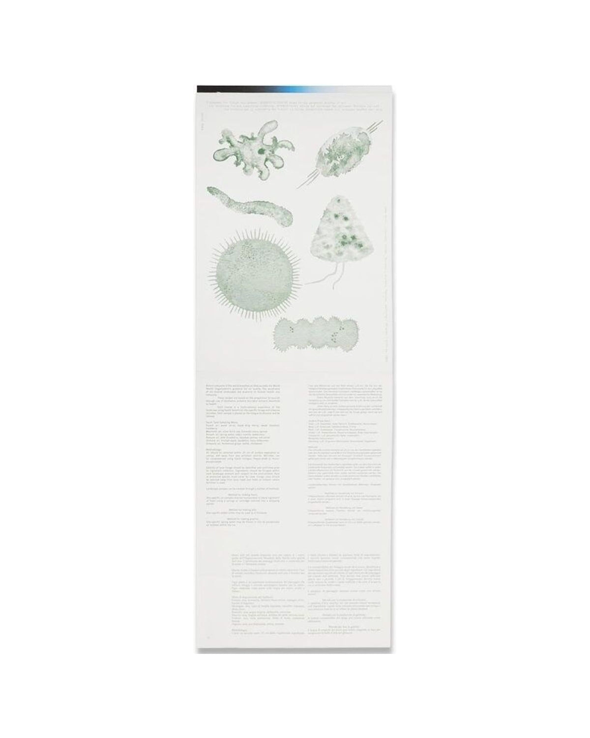 The Taste of Future Landscapes, inside pages 6