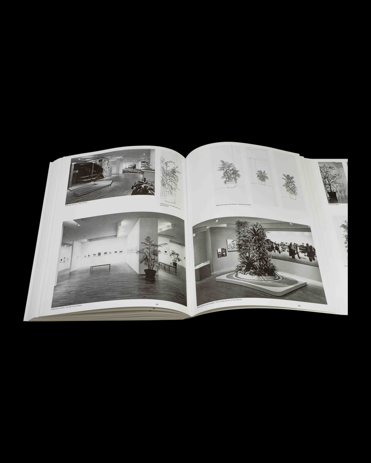 Inge Meijer — The MoMA Plant Collection, inside pages 9
