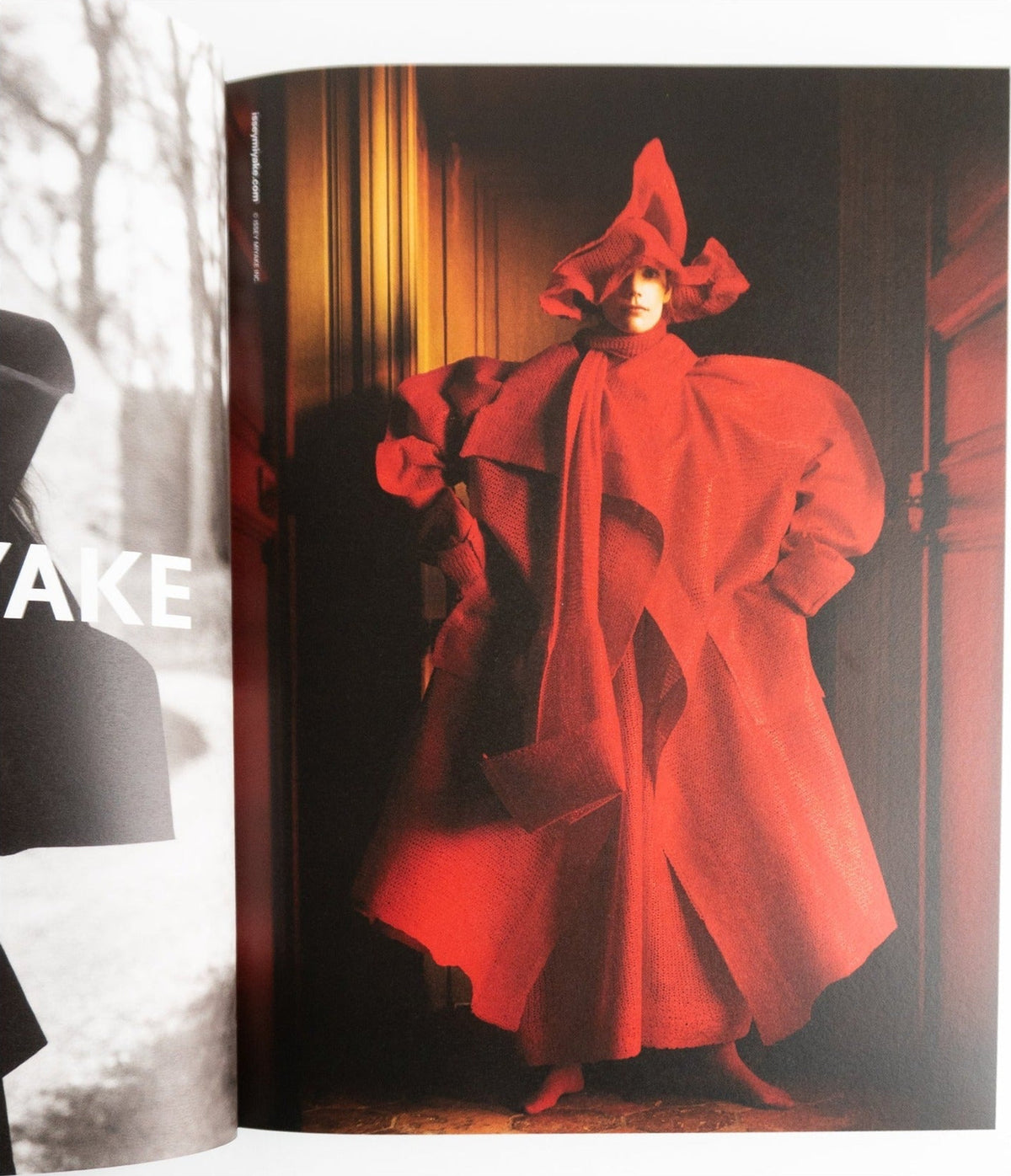 Family Style — Issue 8, inside pages 8