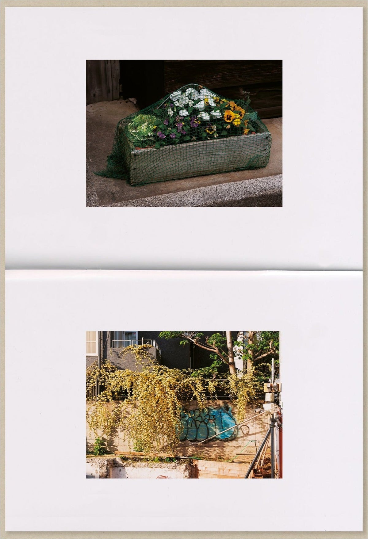 Max Creasy — How Things Look, inside pages 6