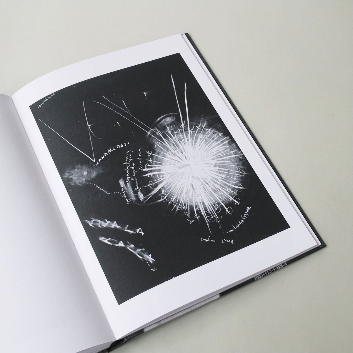 Joseph Beuys — Periphery Workshop: documenta 6, 24–30 June 1977, inside pages 6