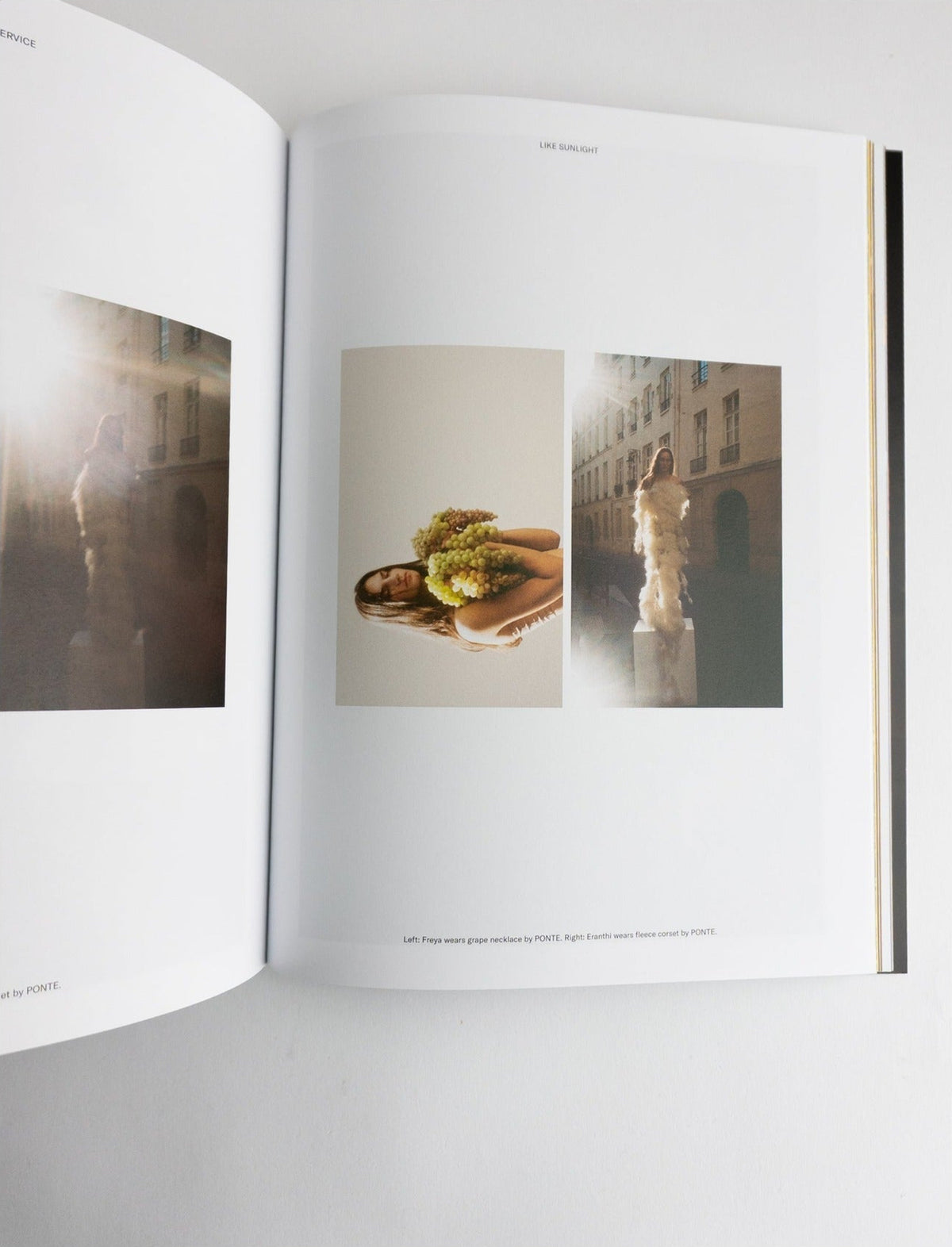 Family Style — Issue 8, inside pages 1